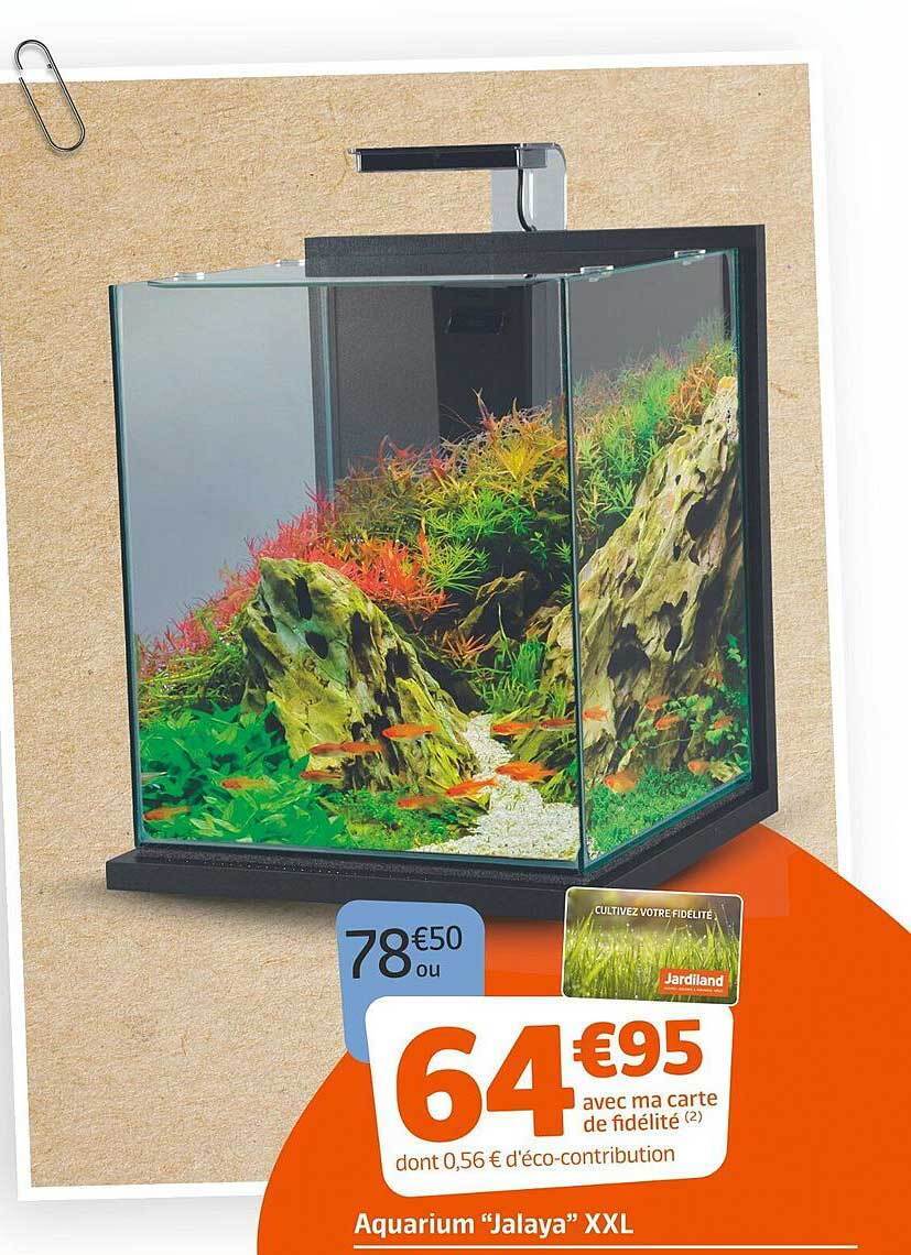 Kit Aquarium Jardiland at Ellie Septimus blog