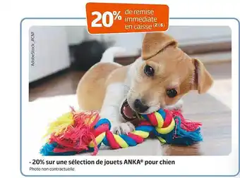 Jardiland Jouets anka pour chien offre