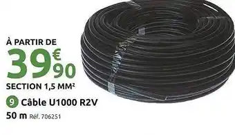 Mr Bricolage Câble u1000 r2v 50 m offre