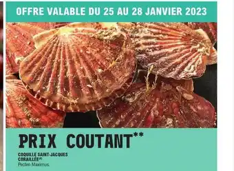 E.Leclerc Coquille saint-jacques coraillée offre
