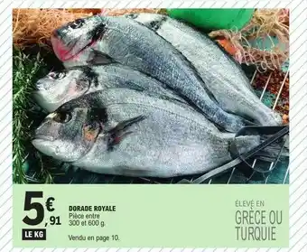 E.Leclerc Dorade royale offre