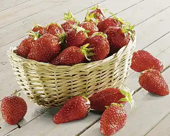 Casino Supermarchés Fraise Gariguette offre