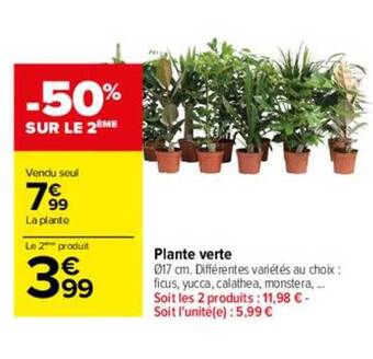 Carrefour Plante verte offre
