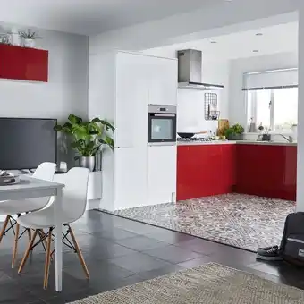 Brico Dépôt Stevia rouge brillant offre