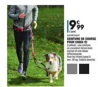 ALDI Ceinture De Course Pour Chien Supercrack L'unite offre