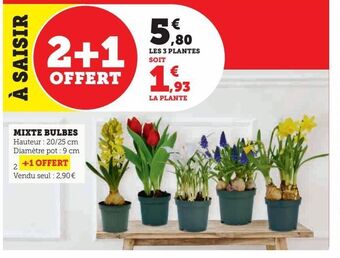 Super U Mixte bulbes offre