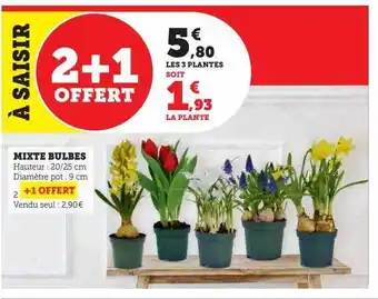 Super U Mixte bubles offre