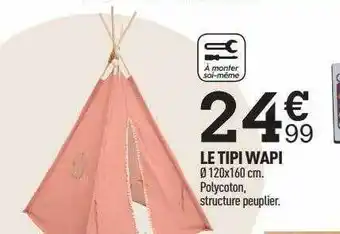 Le tipi wapi