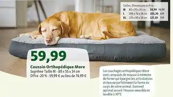 Maxi Zoo Coussin orthopédique more offre