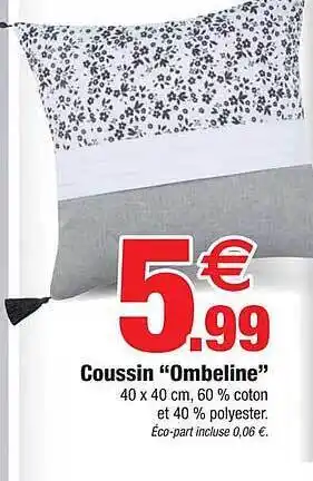 Bazarland Coussin offre