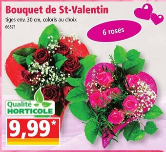 Norma Bouquet de St-Valentin offre