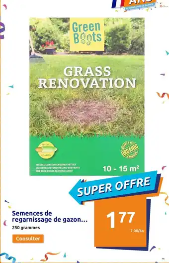 Action Semences de Regarnissage de Gazon offre