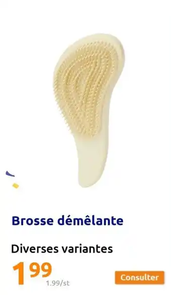 Action Brosse démêlante offre