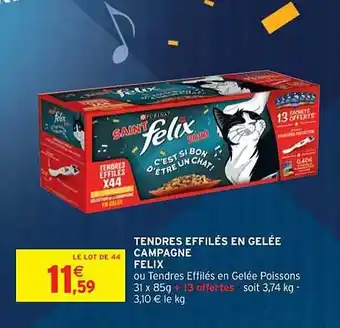 Intermarché Contact Tendres effilés en gelée campagne felix offre
