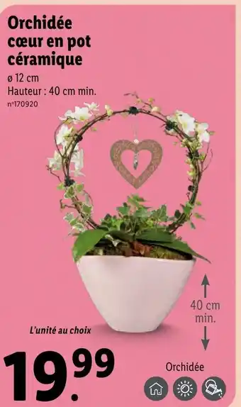 Lidl Orchidée Cœur En Pot Céramique offre