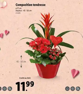 Lidl Composition Tendresse offre