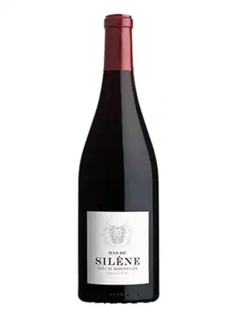 Mas du silene 2021
