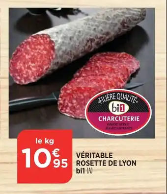 Bi1 Veritable Rosete De Lyon Bi1 offre