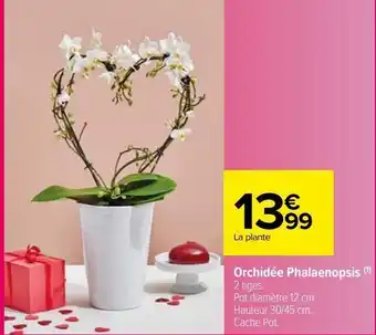 Carrefour Market Orchidée phalaenopsis offre
