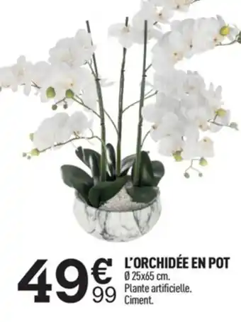 Centrakor L'Orchidée En Pot offre