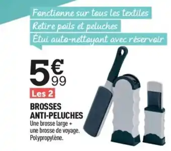 Brosses Anti-Peluches