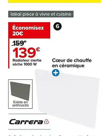 Castorama Radiateur inertie sèche 1000 w carrera offre