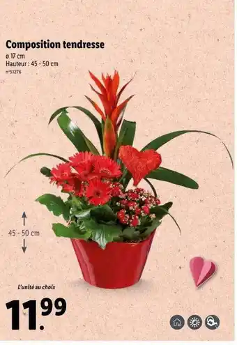 Lidl Composition tendresse offre