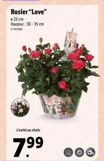 Lidl Rosier offre