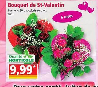 Norma Bouquet de st-valentin offre