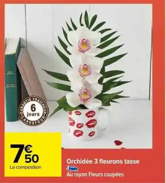 Carrefour Orchidée 3 fleurons tasse offre