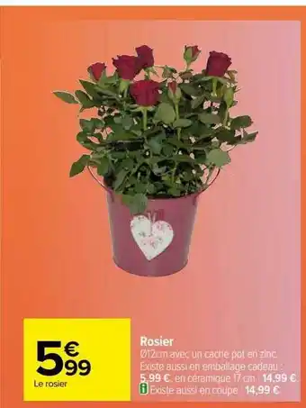 Carrefour Rosier offre
