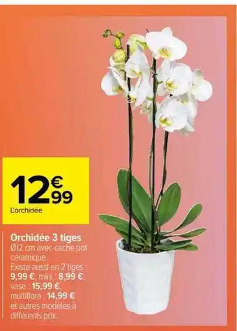 Carrefour Orchidée 3 tiges offre