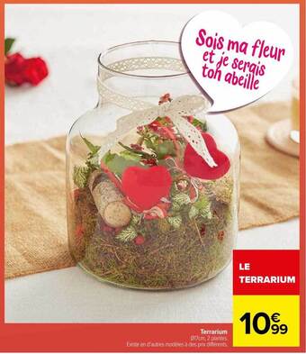 Carrefour Terrarium offre