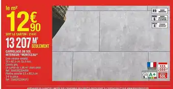 Brico Dépôt Carrelage de sol intérieur offre