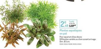 Botanic Plantes aquatiques en pot offre