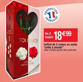 Cora x Carrefour Coffret de 2 rosiers en motte "prêts à planter" offre