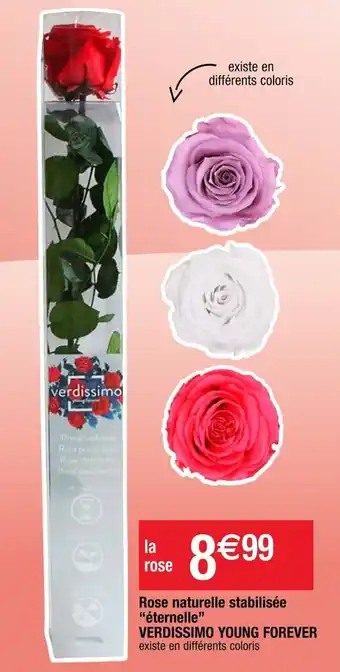 Cora x Carrefour Rose naturelle stabilisée "éternelle" VERDISSIMO YOUNG FOREVER offre