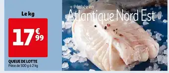 Auchan Queue De Lotte offre