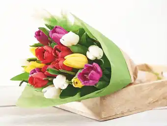 Auchan BOUQUET 20 TULIPES ARLEQUIN offre