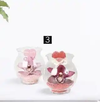 Géant Casino Orchidee 1 Fleuron Dans Un Globe en verre offre
