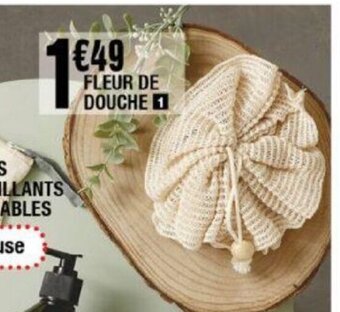 La Foir'Fouille Fleur De Douche offre