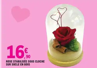 E.Leclerc Rose Stabilisee Sous Cloche Sur Socle En Bois offre
