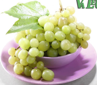 Raisin blanc Vittoria