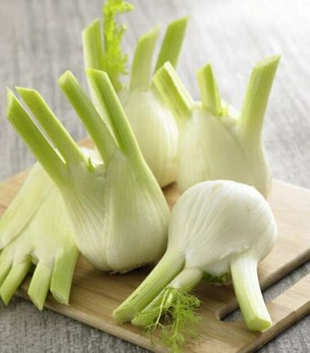 Fenouil