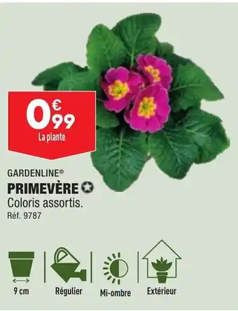 ALDI Primevère GARDENLINE offre
