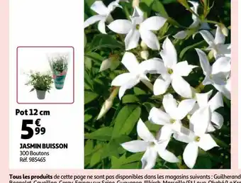 Auchan Jasmin buisson offre