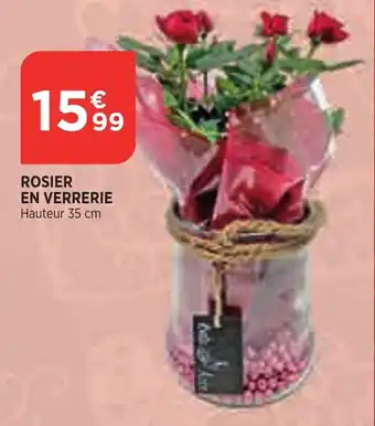 Rosier en verrerie