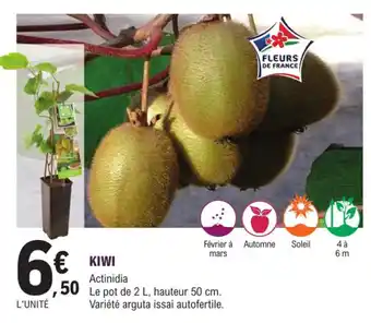 E.Leclerc Jardi Kiwi offre