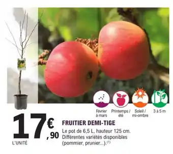 E.Leclerc Jardi Fruitier demi-tige offre