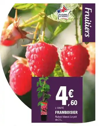 E.Leclerc Jardi Framboisier offre